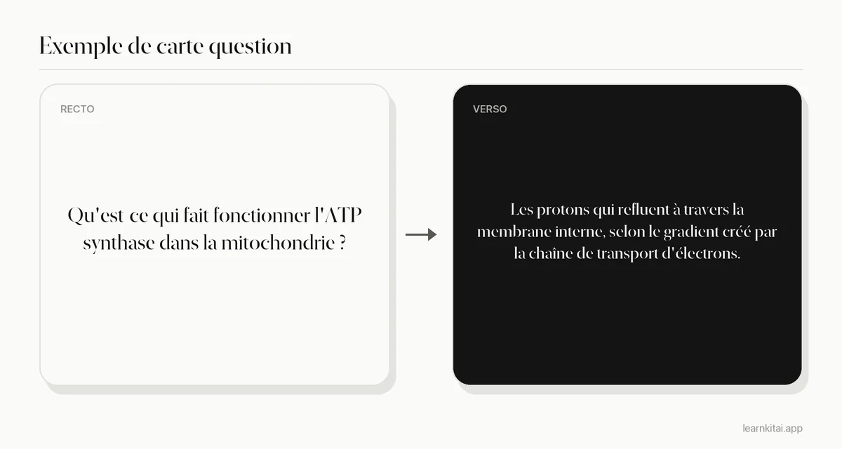 Exemple de flashcard demandant ce qui fait fonctionner l'ATP synthase, avec la réponse sur le gradient de protons à travers la membrane interne