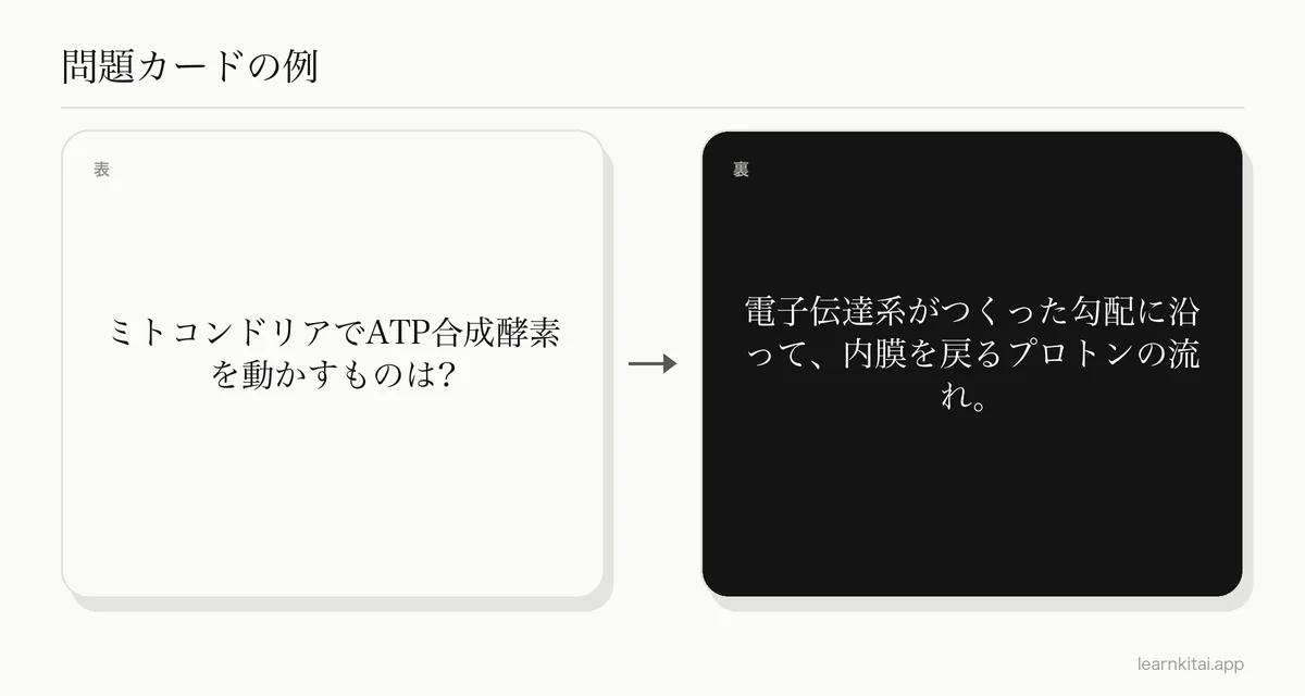 ATP合成酵素を動かすものを問う暗記カードの例。答えは内膜をはさんだプロトン勾配