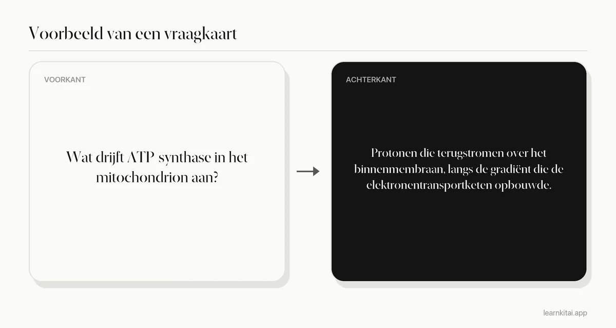 Voorbeeld van een flashcard die vraagt wat ATP-synthase aandrijft, met als antwoord de protonengradiënt over het binnenmembraan