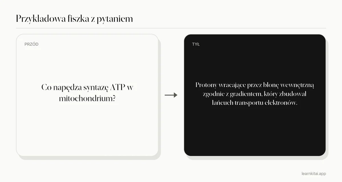 Przykładowa fiszka z pytaniem, co napędza syntazę ATP, i odpowiedzią o gradiencie protonów w poprzek wewnętrznej błony
