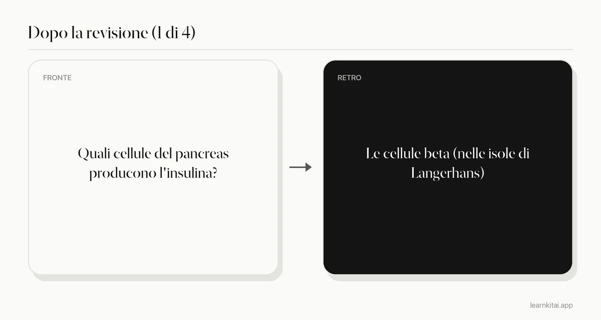 Esempio di flashcard dopo la revisione con una sola domanda mirata e una risposta breve