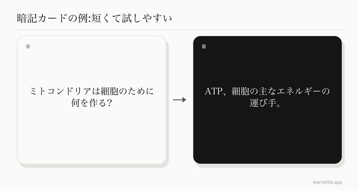 表に短い生物の問い、裏に短い答えがある暗記カードの例