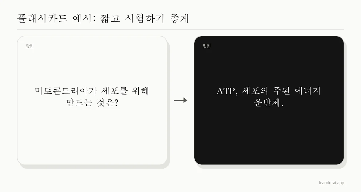 앞면에 짧은 생물학 질문, 뒷면에 짧은 답이 있는 플래시카드 예시