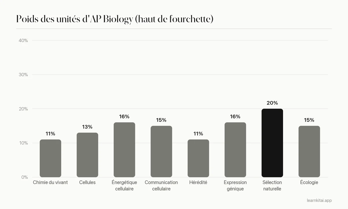 Graphique en barres du poids des unités d'AP Biology à l'examen, avec le haut de chaque fourchette officielle