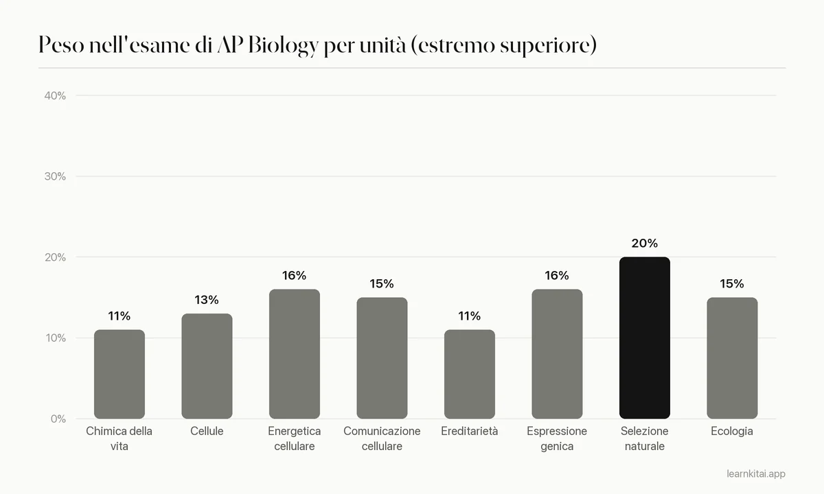 Grafico a barre del peso nell'esame di AP Biology per unità usando l'estremo superiore di ogni intervallo ufficiale