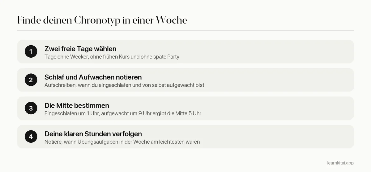 Vier Schritte, um deinen Chronotyp aus deinem Schlaf an freien Tagen abzuschätzen