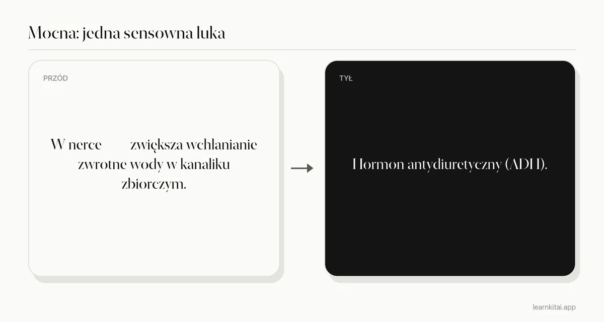 Mocna fiszka z luką ukrywająca tylko nazwę hormonu w zdaniu o wchłanianiu zwrotnym wody