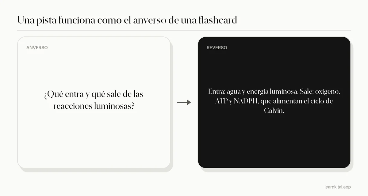 Ejemplo de pregunta de la columna de pistas con su respuesta de la columna de apuntes