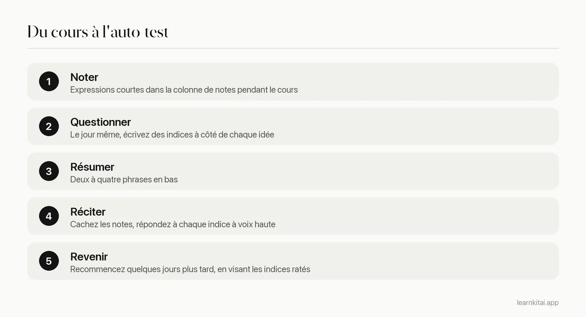 Cinq étapes pour réviser une page de notes Cornell, du cours à la révision hebdomadaire