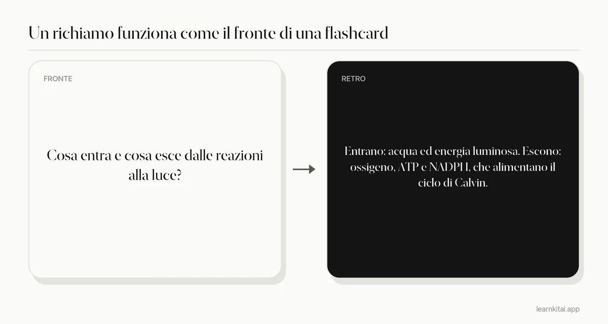 Esempio di domanda nella colonna dei richiami con la sua risposta dalla colonna degli appunti
