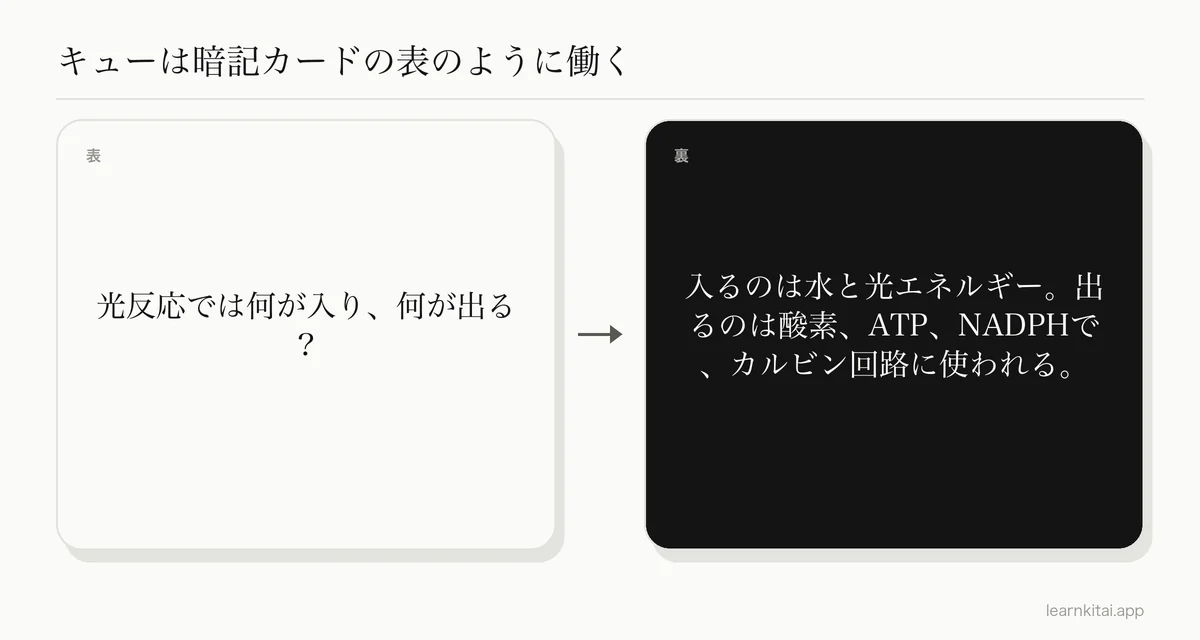キュー欄の質問の例と、ノート欄からの答え