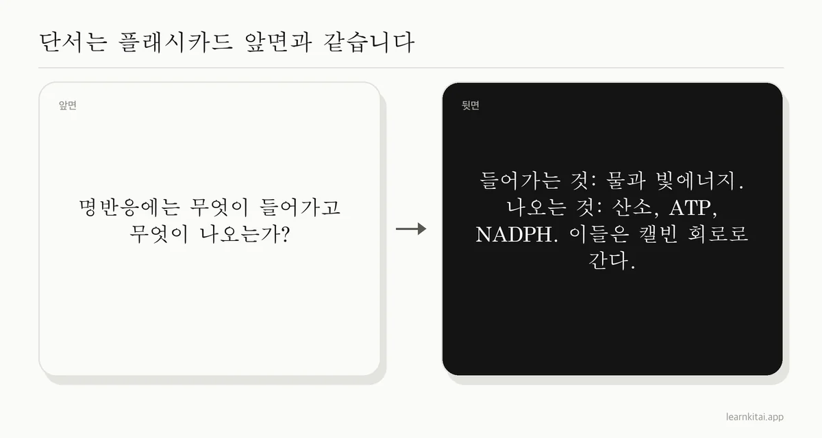 단서 열의 질문 예시와 노트 열에 있는 답