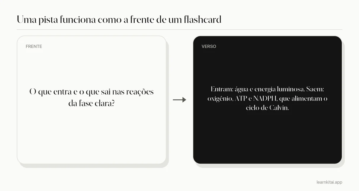 Exemplo de pergunta da coluna de pistas com a resposta da coluna de anotações