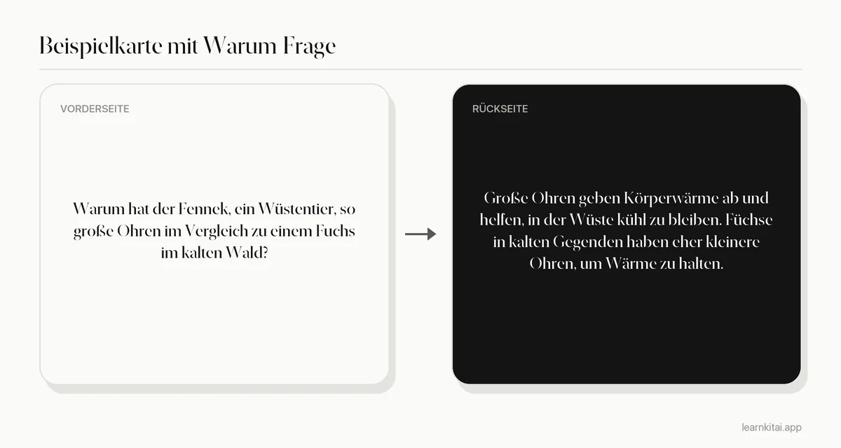 Beispiel-Karteikarte mit einer Warum-Frage, warum ein Wüstentier große Ohren hat, und der Antwort zum Wärmeverlust