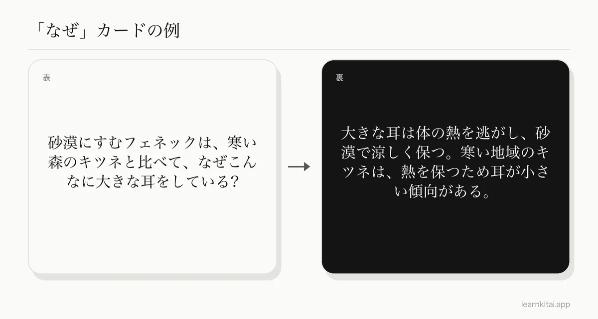 砂漠の動物が大きな耳を持つ理由を問う「なぜ」のカードの例。答えは熱を逃がすこと
