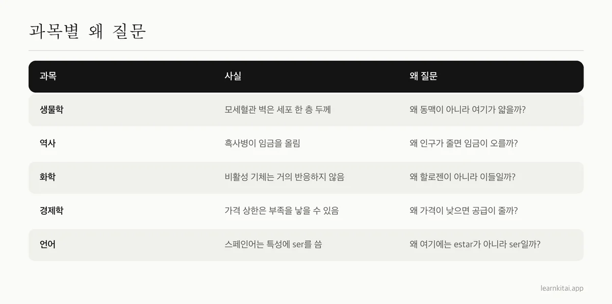 생물학, 역사, 화학, 경제학, 언어의 왜 질문 예시 표