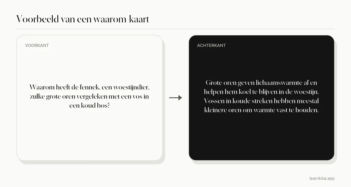 Voorbeeld-flashcard met een waarom-vraag over waarom een woestijndier grote oren heeft en als antwoord warmteverlies