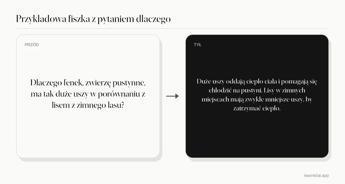 Przykładowa fiszka z pytaniem dlaczego pustynne zwierzę ma duże uszy i odpowiedzią o utracie ciepła
