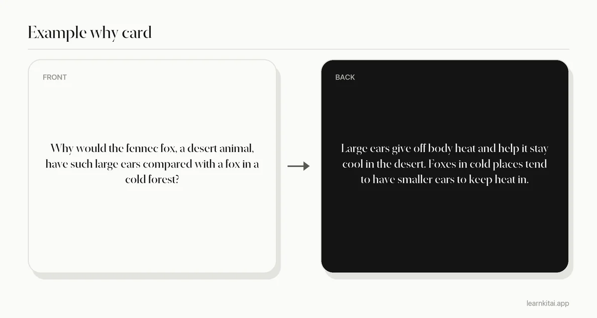 Example flashcard with a why question about why a desert animal has large ears and the answer about losing heat