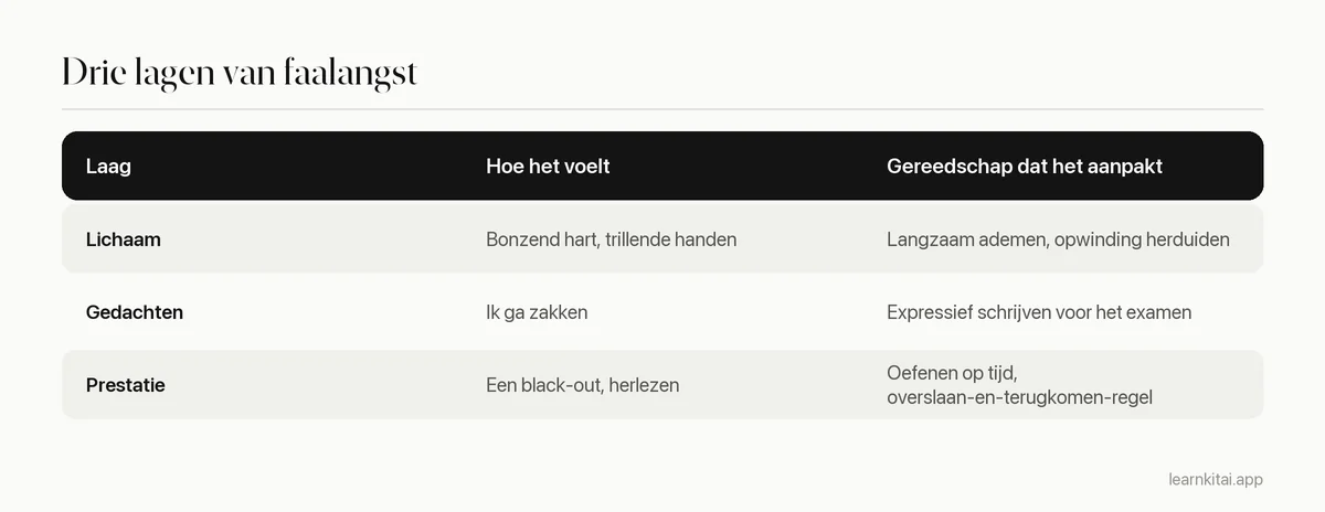 Tabel met drie lagen van faalangst met voorbeelden en een passende techniek voor elk