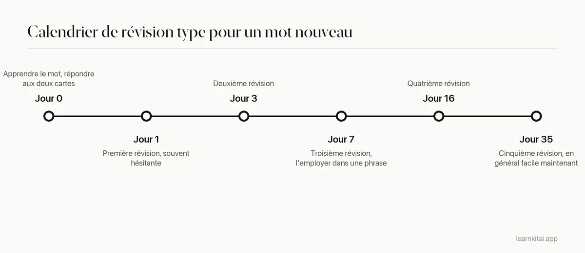 Chronologie d'un calendrier de révision à titre d'exemple pour un mot nouveau, avec des écarts qui passent d'un jour à environ un mois