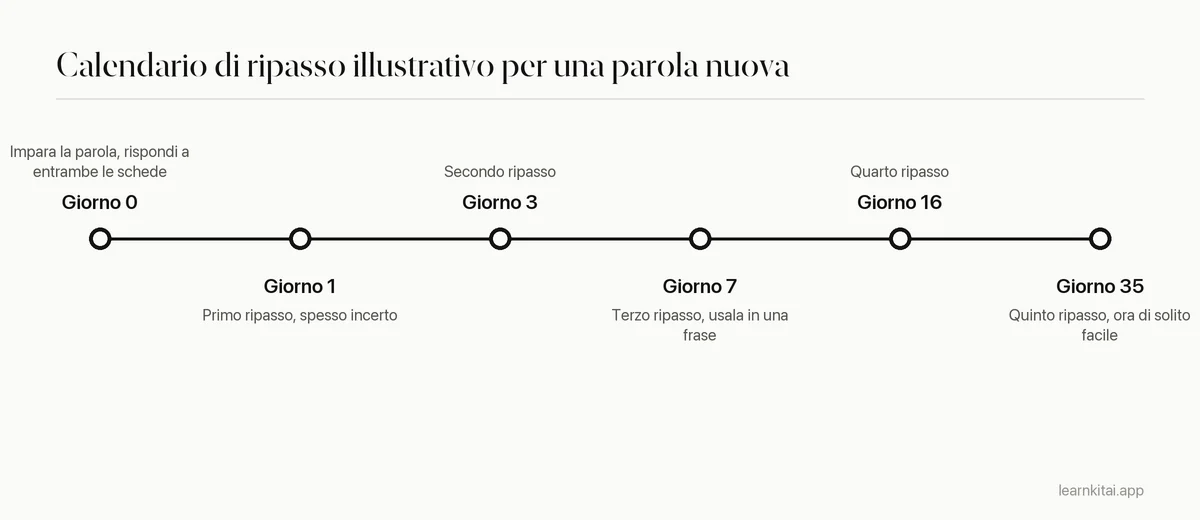 Cronologia con un calendario di ripasso illustrativo per una parola nuova, con intervalli che crescono da un giorno a circa un mese