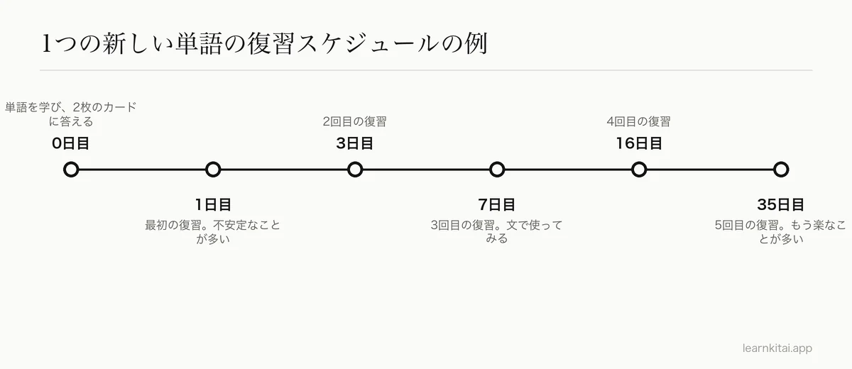 1つの新しい単語について、間隔が1日から約1か月へ広がる復習スケジュールの例のタイムライン