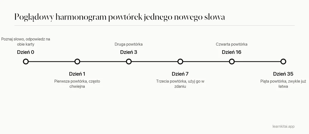 Oś czasu z poglądowym harmonogramem powtórek jednego nowego słowa, z odstępami rosnącymi od jednego dnia do około miesiąca
