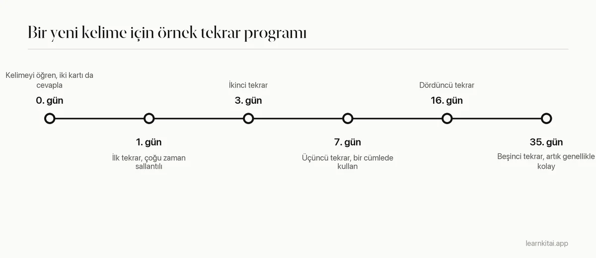 Bir yeni kelime için bir günden yaklaşık bir aya büyüyen boşluklarla örnek tekrar programını gösteren zaman çizelgesi