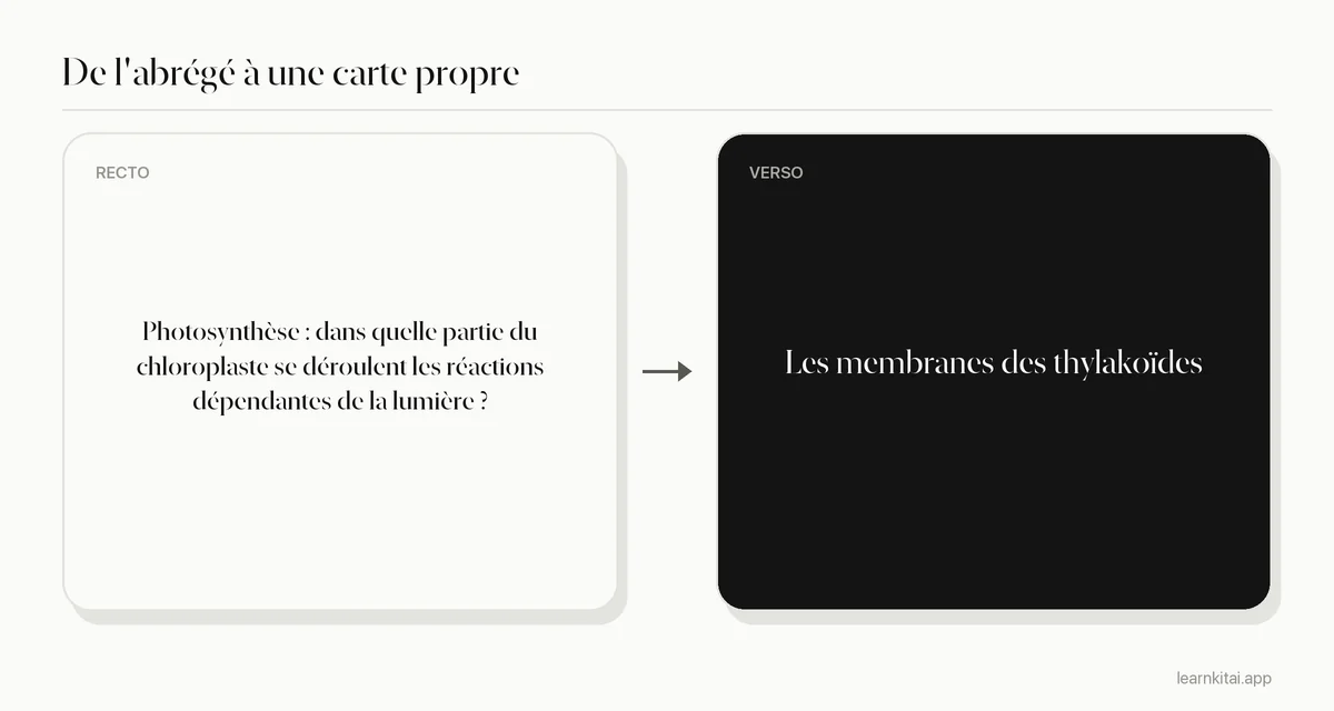 Exemple de flashcard tirée de notes abrégées de biologie sur l'endroit où se déroulent les réactions dépendantes de la lumière