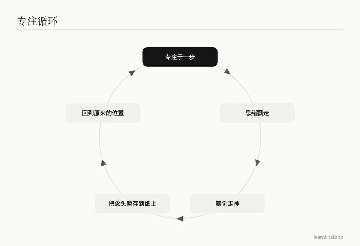 循环图：专注、走神、察觉、暂存念头、回到原处