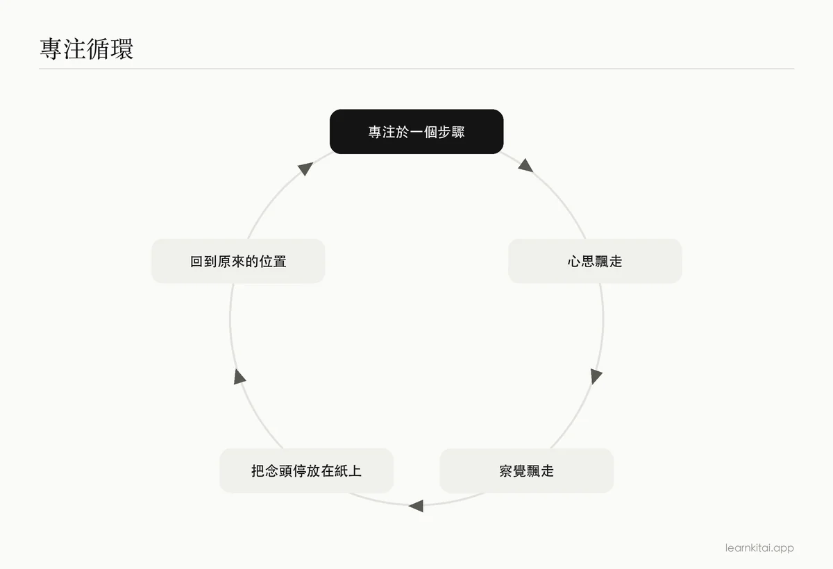 專注、飄走、察覺、把念頭停放在紙上、回到原處的循環示意圖