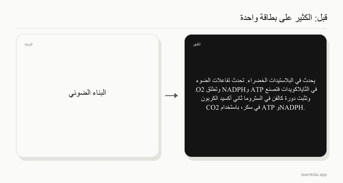 مثال على بطاقة ضعيفة تطلب عملية التمثيل الضوئي كاملة في بطاقة واحدة