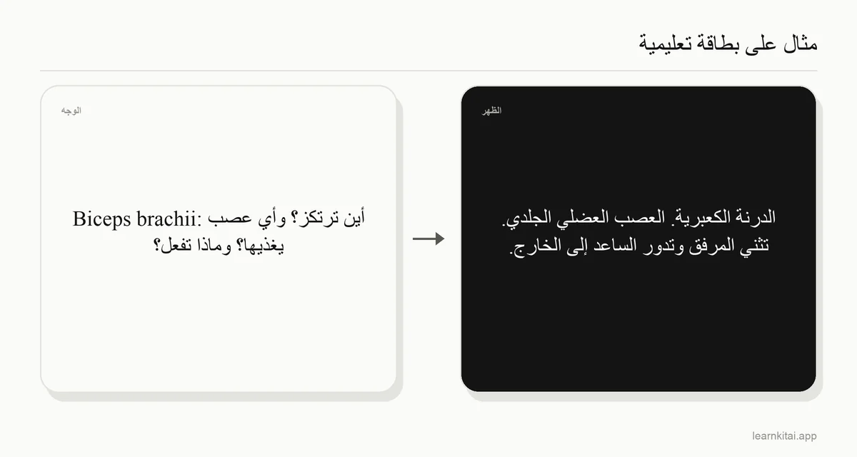 مثال على بطاقة تشريح تسأل عن نقطة ارتكاز العضلة ذات الرأسين (biceps brachii) وعصبها والأفعال التي تقوم بها