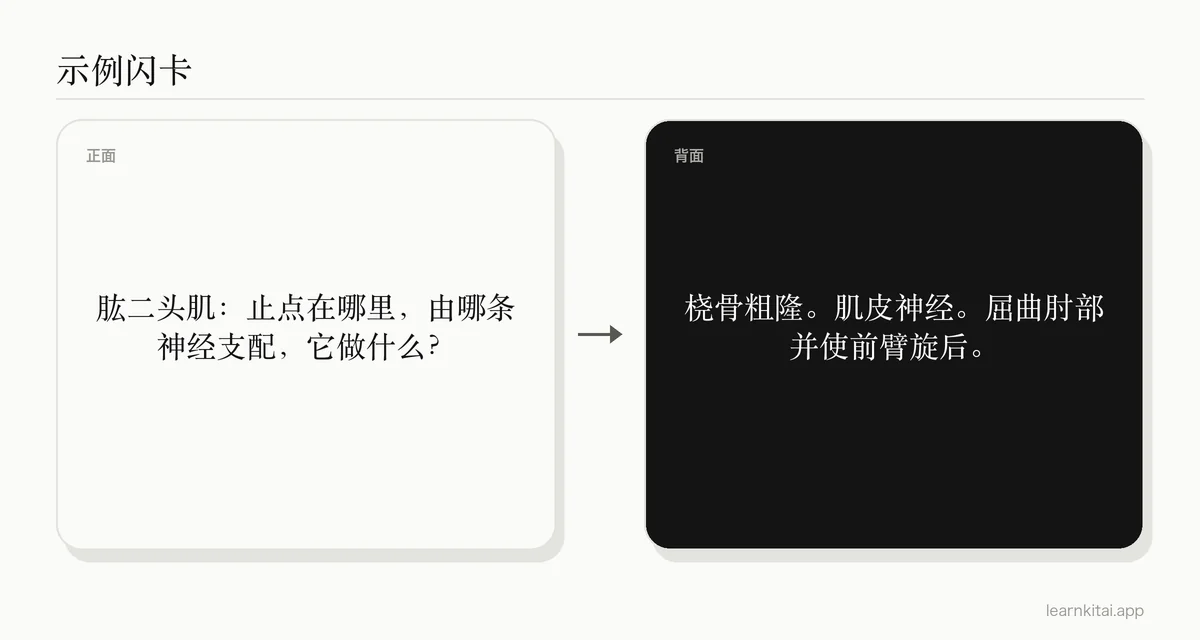 解剖学示例卡片:询问肱二头肌的止点、神经支配以及随之而来的作用