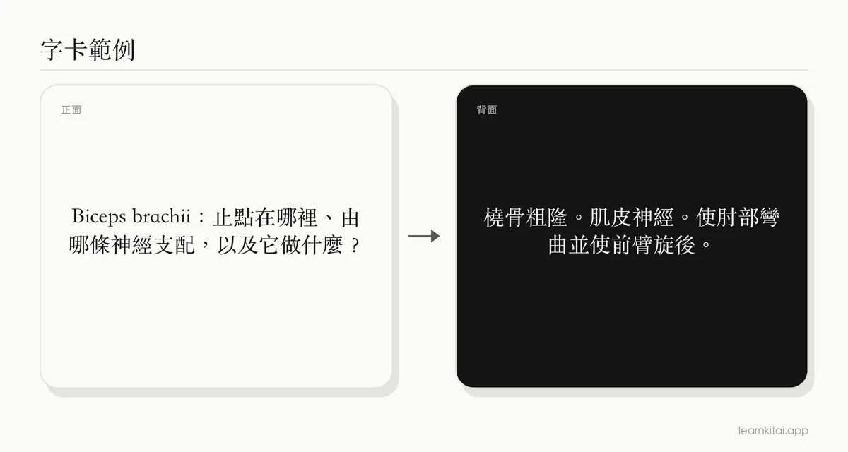 範例解剖學字卡,詢問 biceps brachii 的止點與神經,以及隨之而來的作用