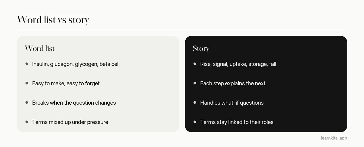 Two columns comparing learning a biology process as a word list with learning it as a cause and effect story