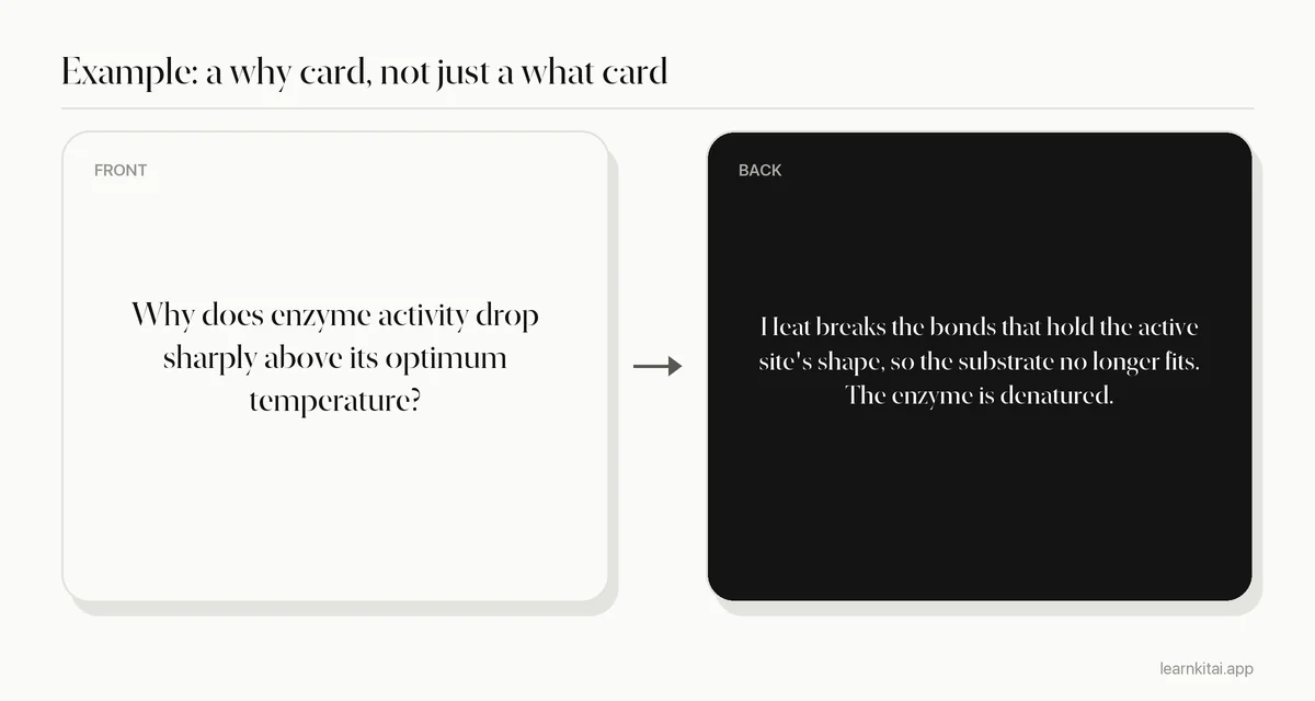 Example biology flashcard asking why enzyme activity drops above its optimum temperature, with the answer on the back