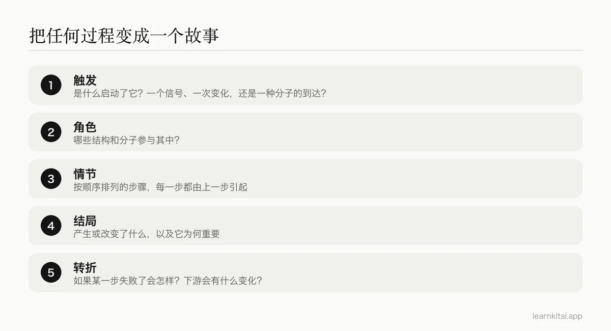 把生物过程转化为因果故事的五步方法