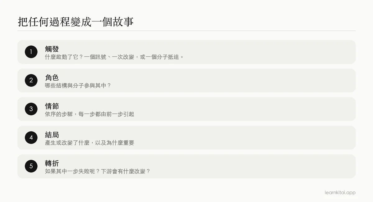 把生物過程變成因果故事的五步驟方法