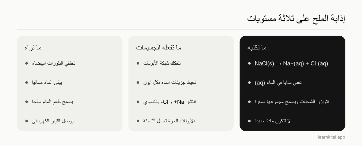 ثلاثة أعمدة تقارن المستويات العياني ودون المجهري والرمزي لذوبان ملح الطعام في الماء