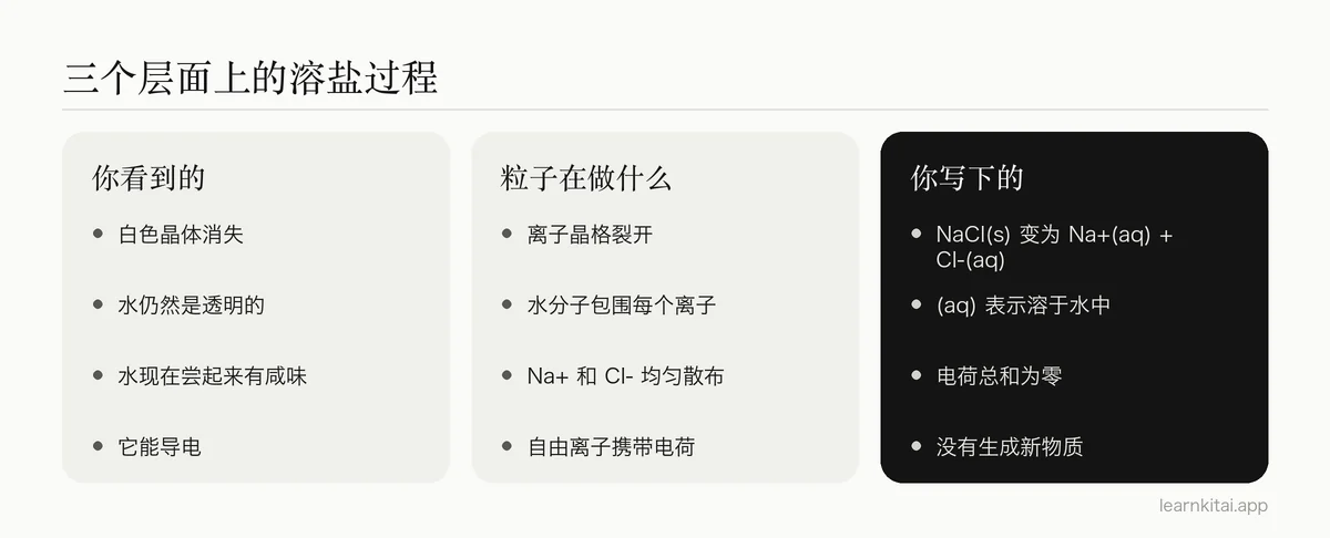 并排三栏:从宏观、亚微观和符号三个层面描述食盐溶于水的过程