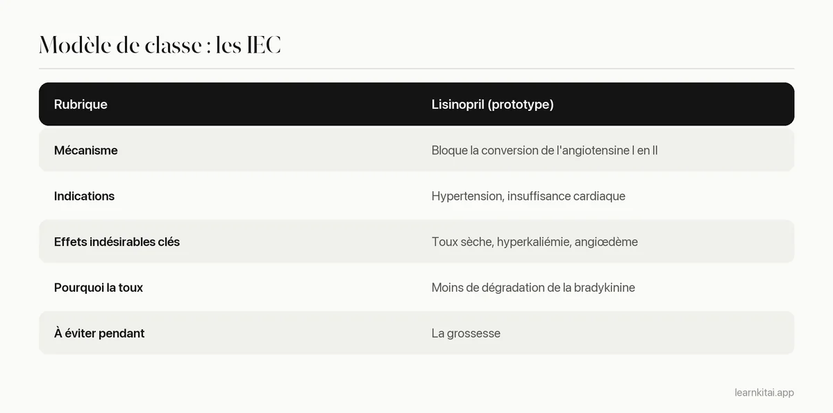 Tableau d'un modèle de classe médicamenteuse rempli pour les IEC avec le lisinopril comme prototype