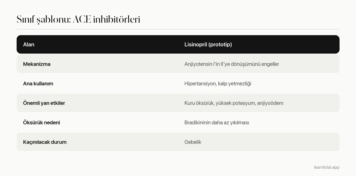 Lisinopril prototip alınarak ACE inhibitörleri için doldurulmuş ilaç sınıfı şablonu tablosu