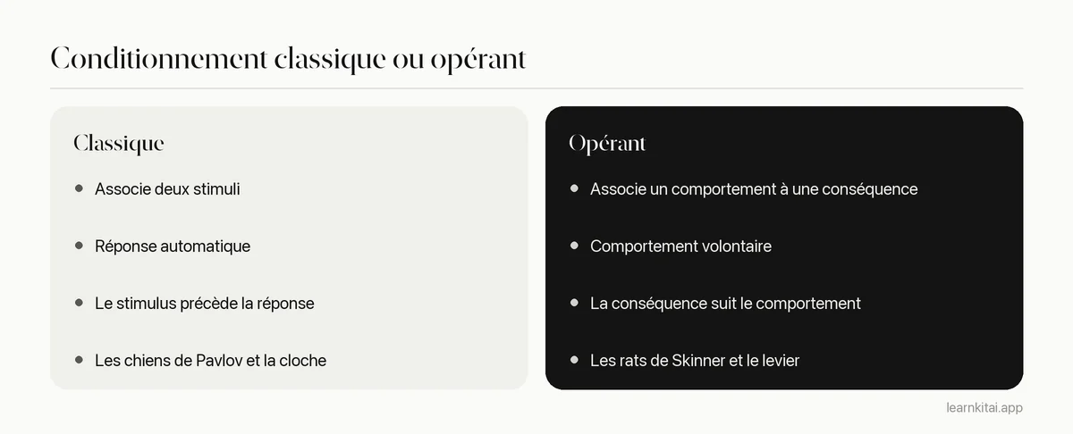 Comparaison du conditionnement classique et opérant selon ce qui est appris, ce qui vient en premier et un exemple classique