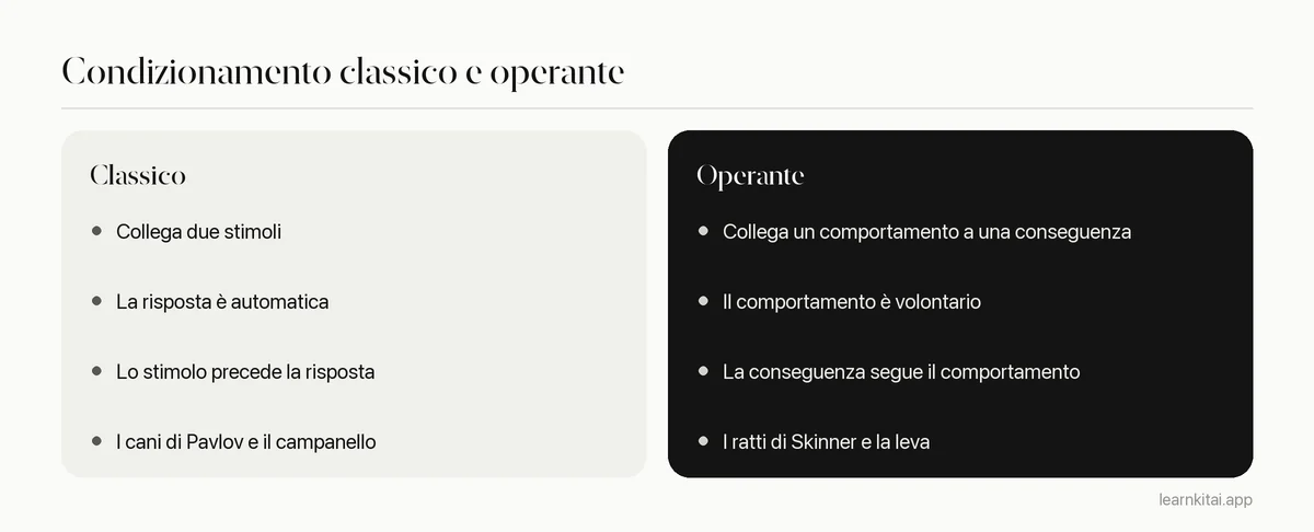 Confronto tra condizionamento classico e operante per cosa si impara, cosa viene prima e un esempio classico
