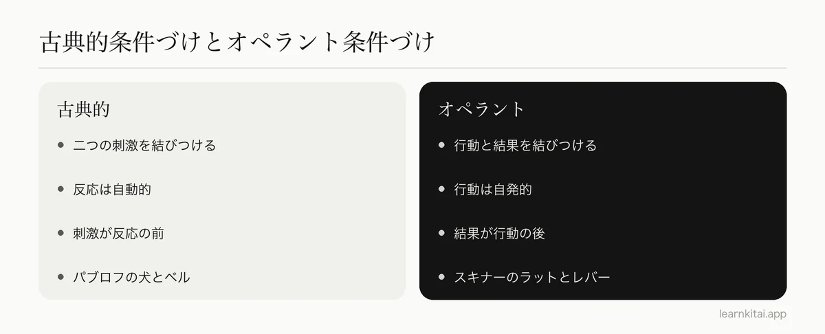 古典的条件づけとオペラント条件づけを、学習される内容、順序、代表例で比べた図