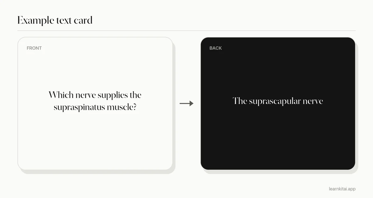 Example anatomy text flashcard asking which nerve supplies the supraspinatus muscle