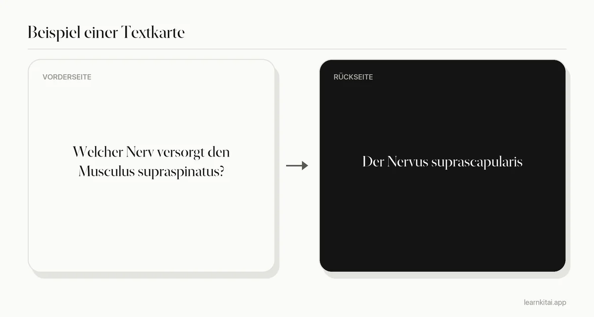 Beispiel einer Anatomie-Textkarte, die fragt, welcher Nerv den Musculus supraspinatus versorgt