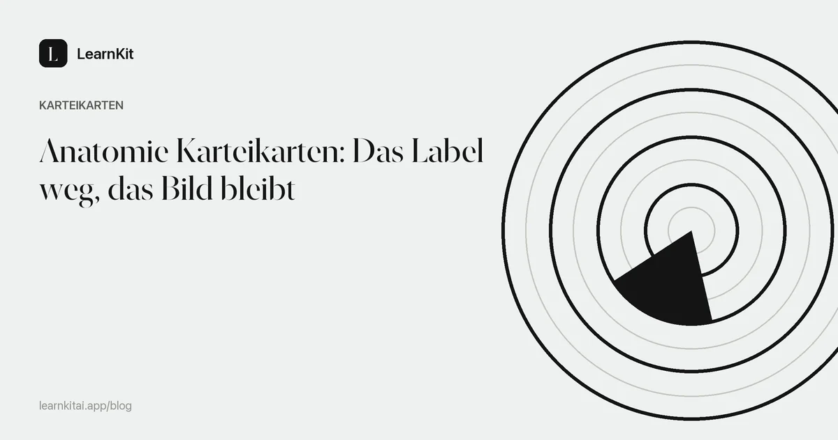Der Titel Anatomie Karteikarten: Das Label weg, das Bild bleibt vor einem ruhigen, einfarbigen Muster